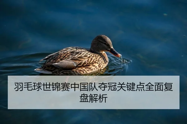 羽毛球世锦赛中国队夺冠关键点全面复盘解析